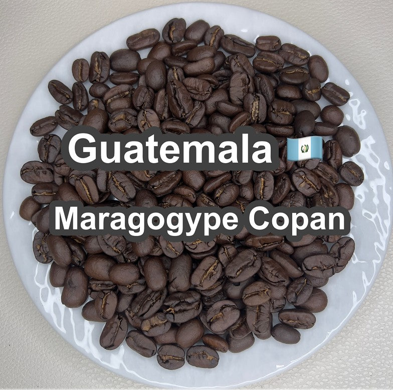 Guatemala Maragogype Copan（ グアテマラ マラゴジッペ コバン）100g【受注焙煎・自家焙煎コーヒー豆】【爽やかな酸味と深いコク】