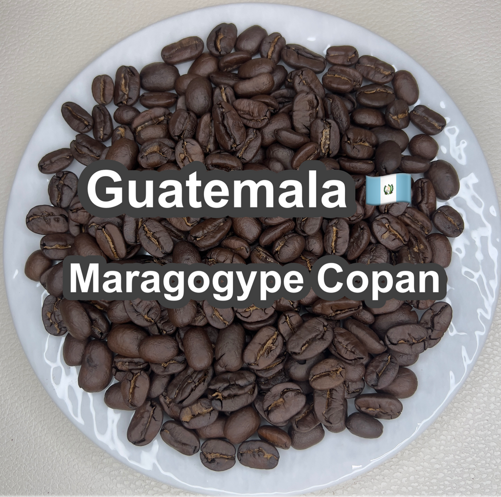 Guatemala Maragogype Copan（ グアテマラ マラゴジッペ コバン）100g【受注焙煎・自家焙煎コーヒー豆】【爽やかな酸味と深いコク】