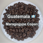 Guatemala Maragogype Copan（ グアテマラ マラゴジッペ コバン）100g【受注焙煎・自家焙煎コーヒー豆】【爽やかな酸味と深いコク】