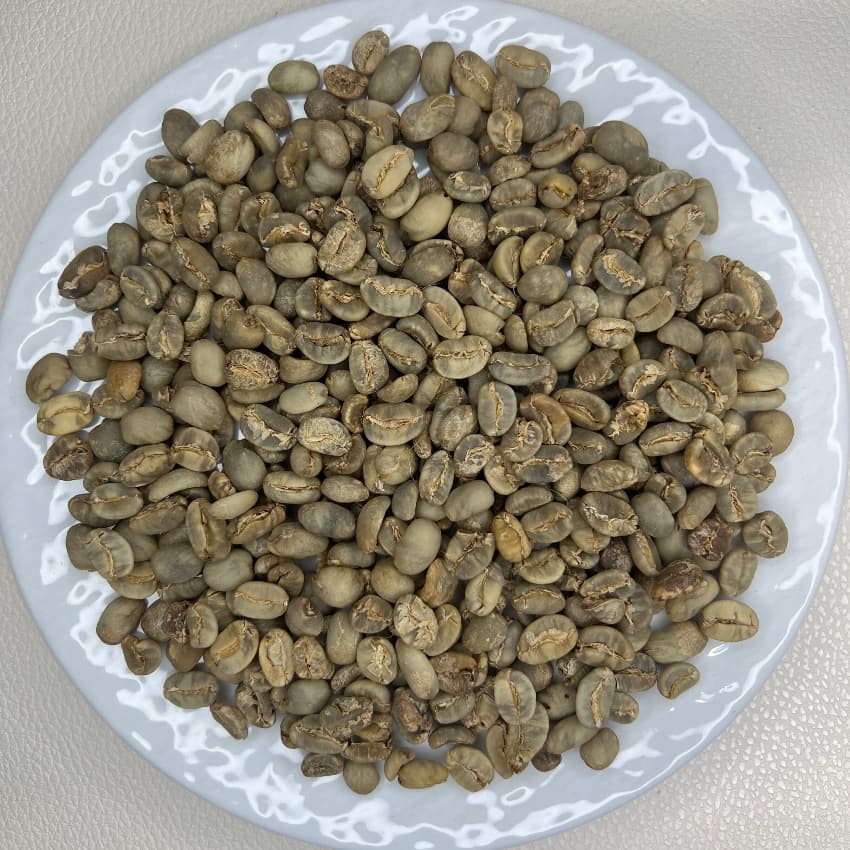 Indonesia TORAJA GOLD（インドネシア トラジャ ゴールド）100g【受注焙煎・自家焙煎コーヒー豆】【酸味を抑えた力強いコク】
