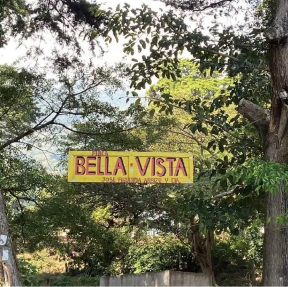 El Salvador SHG Finca Bella Vista（エルサルバドル SHG ベジャ・ビスタ農園）100g【受注焙煎・自家焙煎コーヒー豆】【マイルドな酸味とすっきり後味】