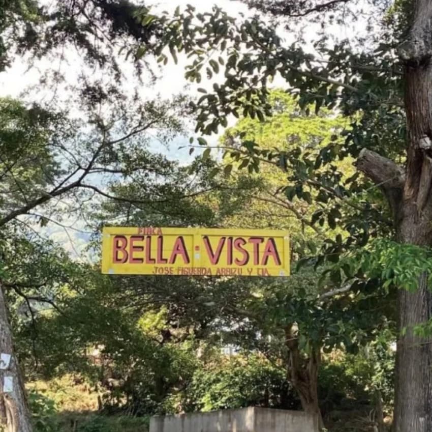 El Salvador SHG Finca Bella Vista（エルサルバドル SHG ベジャ・ビスタ農園）100g【受注焙煎・自家焙煎コーヒー豆】【マイルドな酸味とすっきり後味】