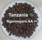 Tanzania Ngorongoro AA ++（タンザニア ンゴロンゴロ AA ++）100g【受注焙煎・自家焙煎コーヒー豆】【豊かなコクと爽やかな酸味】