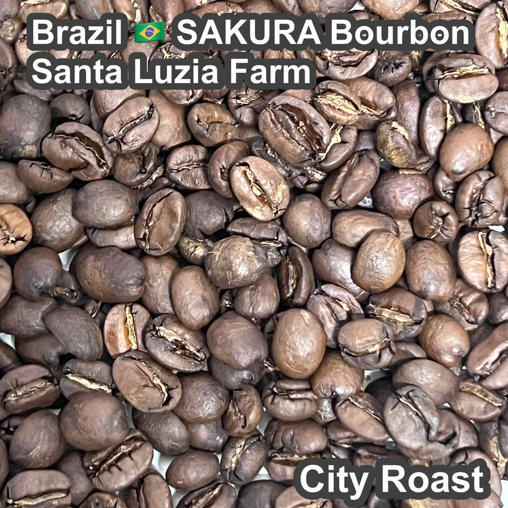 Brazil SAKURA Bourbon Santa Luzia Farm(2026年）（ブラジル さくらブルボン サンタルジア農園）100g【受注焙煎・自家焙煎コーヒー豆】【味や香りのバランスが良い】