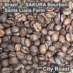 Brazil SAKURA Bourbon Santa Luzia Farm(2026年）（ブラジル さくらブルボン サンタルジア農園）100g【受注焙煎・自家焙煎コーヒー豆】【味や香りのバランスが良い】