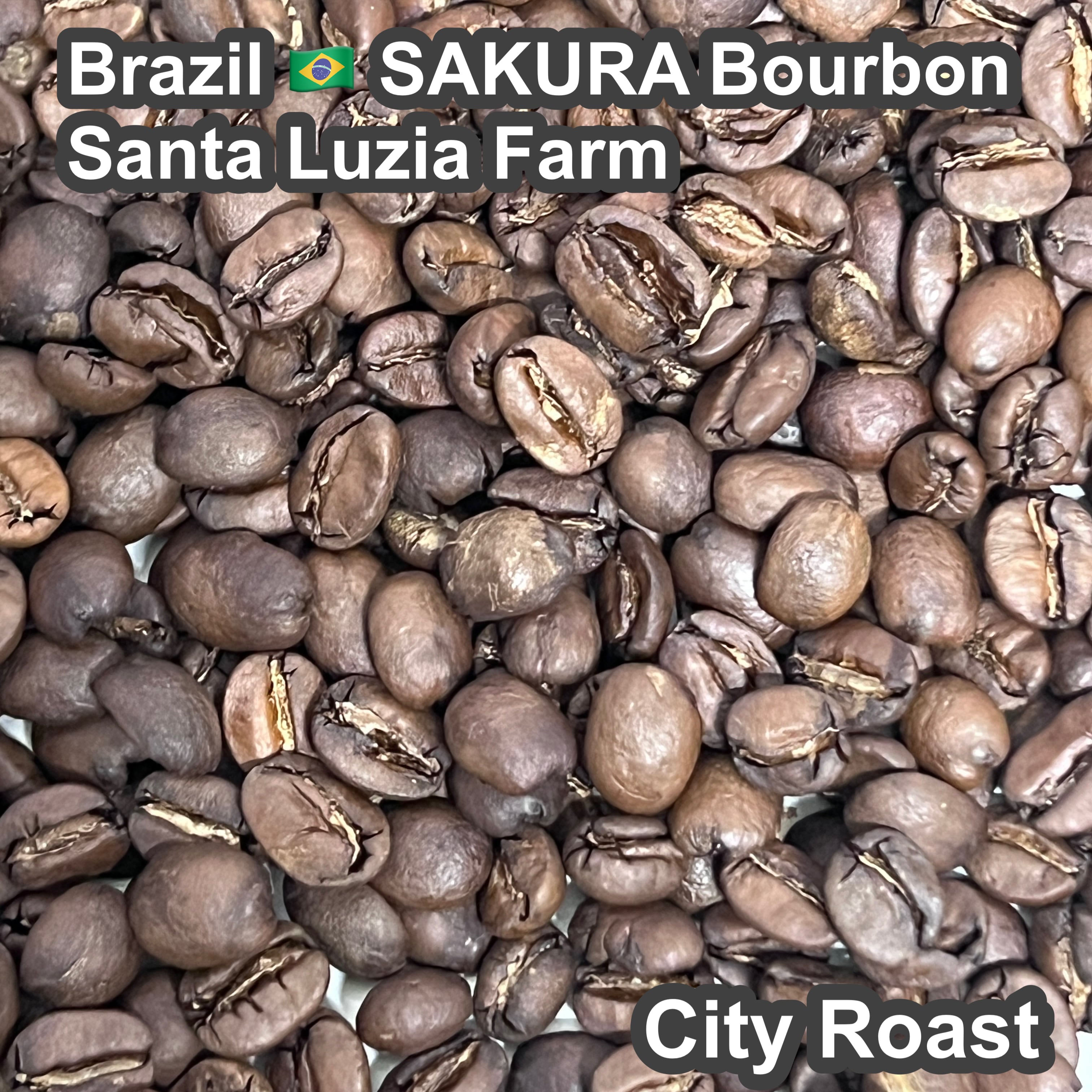 Brazil SAKURA Bourbon Santa Luzia Farm(2026年）（ブラジル さくらブルボン サンタルジア農園）100g【受注焙煎・自家焙煎コーヒー豆】【味や香りのバランスが良い】