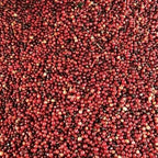 Etiopia Sidamo G1 Shantawene Anaerobic Washed（エチオピア シダモ G1 シャンタウェネ アナエロビック・ウォッシュド）100g 【受注焙煎・自家焙煎コーヒー豆】【完熟シトラスが華やかに弾ける、極上の透明感】