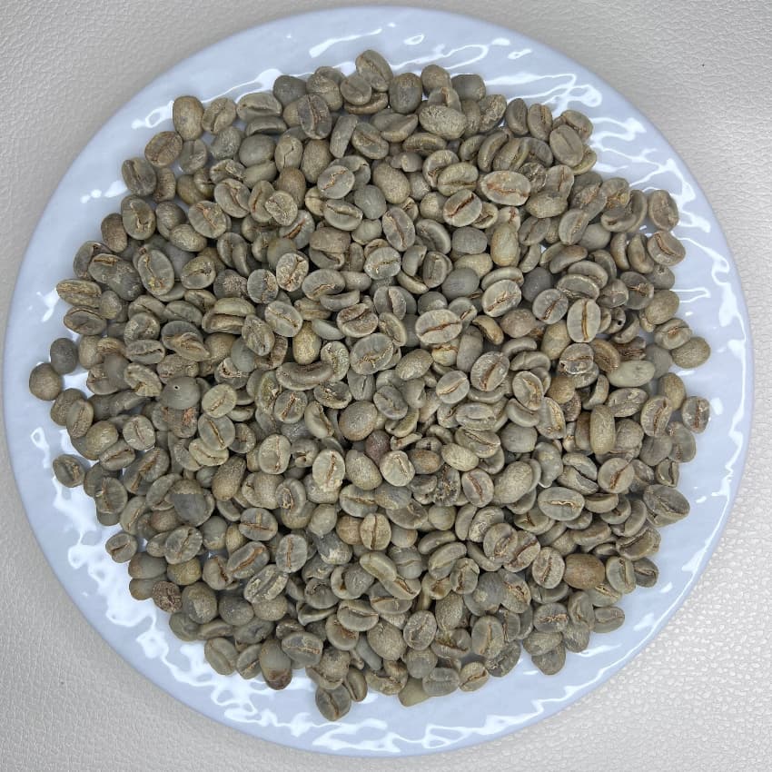 Brazil Geisha Farroupilha Farm Natural（ ブラジル ゲイシャ ファホーピリャ農園 ナチュラル ）100g【受注焙煎・自家焙煎コーヒー豆】【気品ある花香と完熟果実の濃厚な甘みが溶け合う】