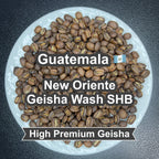 Guatemala New Oriente Geisha Wash SHB（グアテマラ ニューオリエンテ ゲイシャ ウォッシュ SHB）100g【受注焙煎・自家焙煎コーヒー豆】【柑橘のやさしい風味と、リンゴ酸系の酸味】