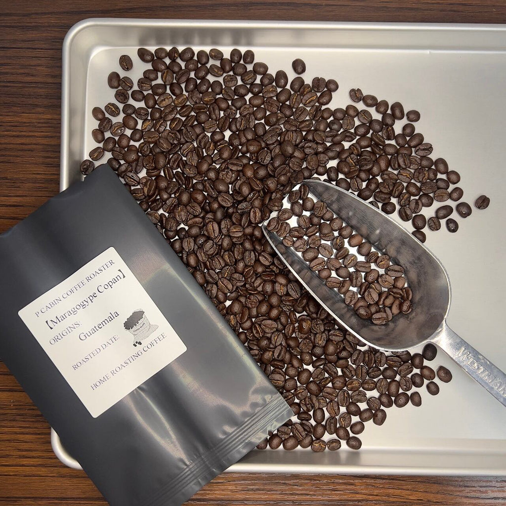 Guatemala Maragogype Copan（ グアテマラ マラゴジッペ コバン）100g【受注焙煎・自家焙煎コーヒー豆】【爽やかな酸味と深いコク】