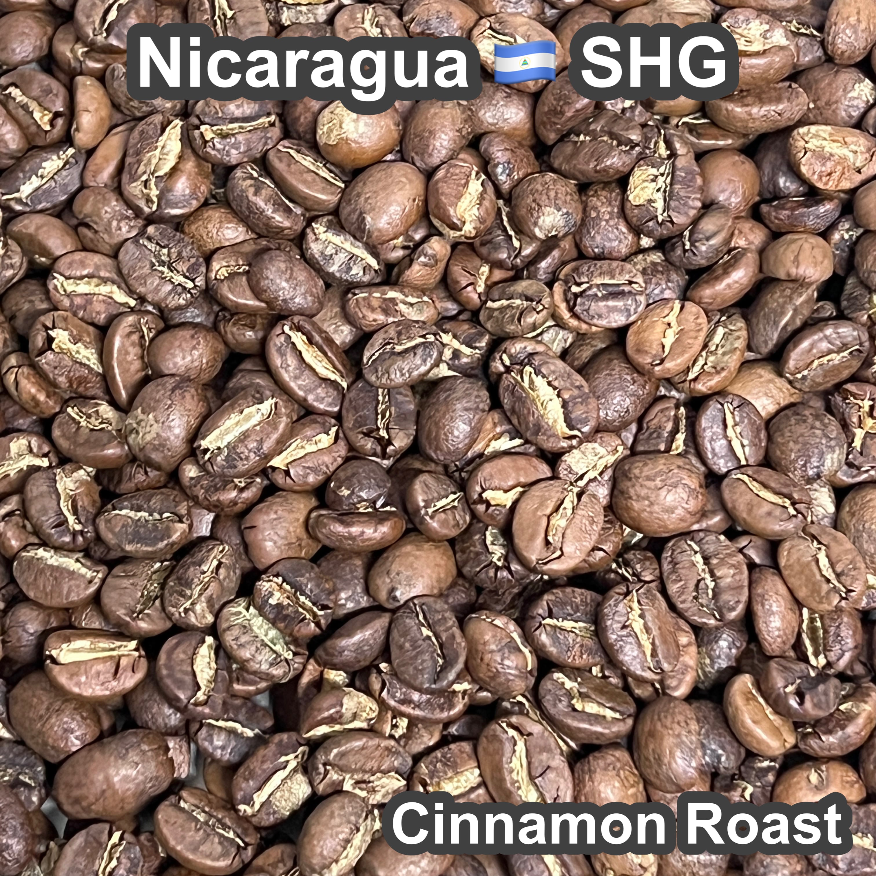 Nicaragua SHG（ニカラグア SHG）100g【受注焙煎・自家焙煎コーヒー豆】【フルーティーな香りとすっきりした酸味】