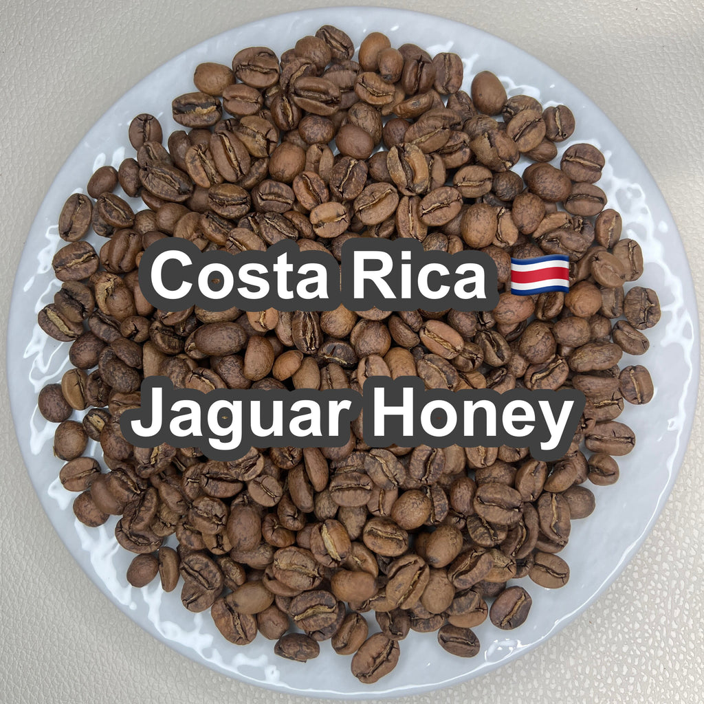 Costa Rica Jaguar Honey（コスタリカ ジャガー ハニー）100g【受注焙煎・自家焙煎コーヒー豆】【ベリーのような爽やかな酸味】