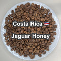 Costa Rica Jaguar Honey（コスタリカ ジャガー ハニー）100g【受注焙煎・自家焙煎コーヒー豆】【ベリーのような爽やかな酸味】