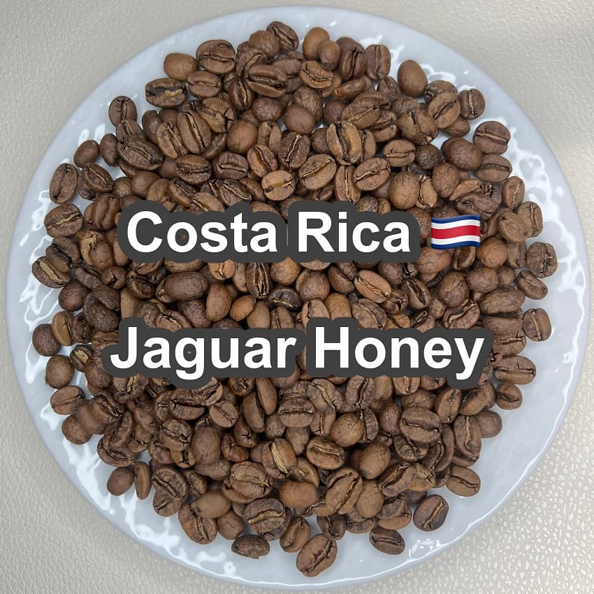 Costa Rica Jaguar Honey（コスタリカ ジャガー ハニー）100g【受注焙煎・自家焙煎コーヒー豆】【ベリーのような爽やかな酸味】