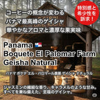 Panama Boquete El Palomar Farm Geisha Natural（パナマ ボケテ エル パロマール農園 ゲイシャ ナチュラル）100g【受注焙煎・自家焙煎コーヒー豆】【繊細なジャスミンの香りと甘く力強いフルーツフレーバー】
