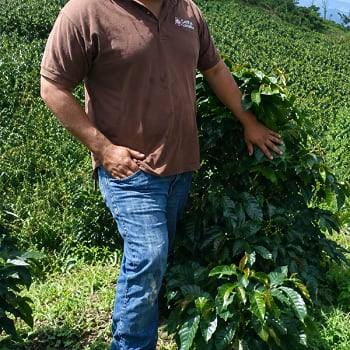 Honduras El Jardín Farm Pacas Anaerobic Natural SHG（ホンジュラス エル ハルディン農園 パカス アナエロビック ナチュラル SHG）100g 【受注焙煎・自家焙煎コーヒー豆】【ベリーの酸味に程よい発酵感】