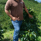 Honduras El Jardín Farm Pacas Anaerobic Natural SHG（ホンジュラス エル ハルディン農園 パカス アナエロビック ナチュラル SHG）100g 【受注焙煎・自家焙煎コーヒー豆】【ベリーの酸味に程よい発酵感】