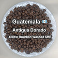 Guatemala Antigua Dorado Yellow Bourbon Washed SHB（グアテマラ アンティグア ドラド イエローブルボン ウォッシュ SHB）100g 【受注焙煎・自家焙煎コーヒー豆】【透き通るようなクリーンさと、とろける蜂蜜の甘い余韻】