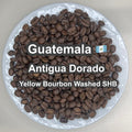 Guatemala Antigua Dorado Yellow Bourbon Washed SHB（グアテマラ アンティグア ドラド イエローブルボン ウォッシュ SHB）100g 【受注焙煎・自家焙煎コーヒー豆】【透き通るようなクリーンさと、とろける蜂蜜の甘い余韻】