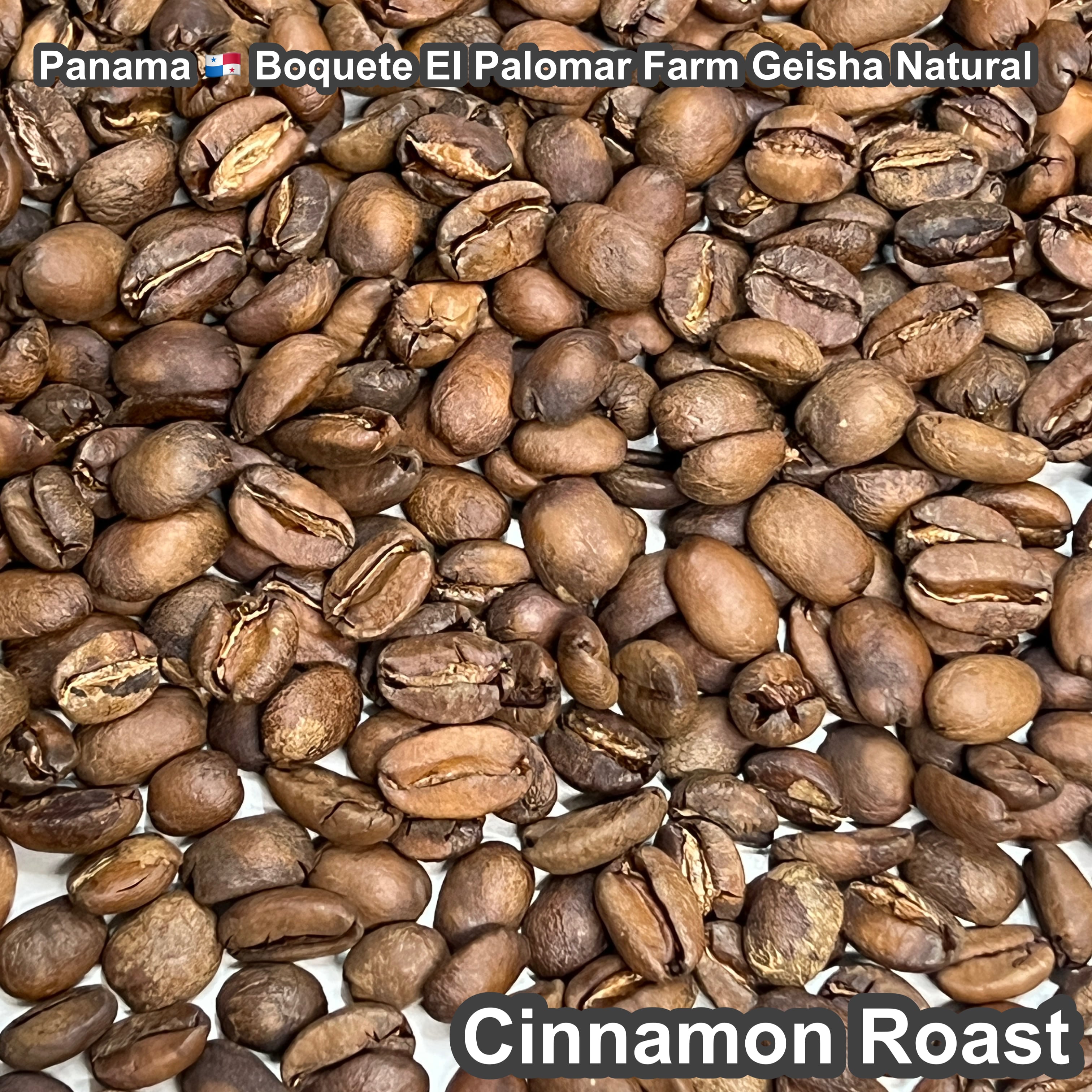 Panama Boquete El Palomar Farm Geisha Natural（パナマ ボケテ エル パロマール農園 ゲイシャ ナチュラル）100g【受注焙煎・自家焙煎コーヒー豆】【繊細なジャスミンの香りと甘く力強いフルーツフレーバー】
