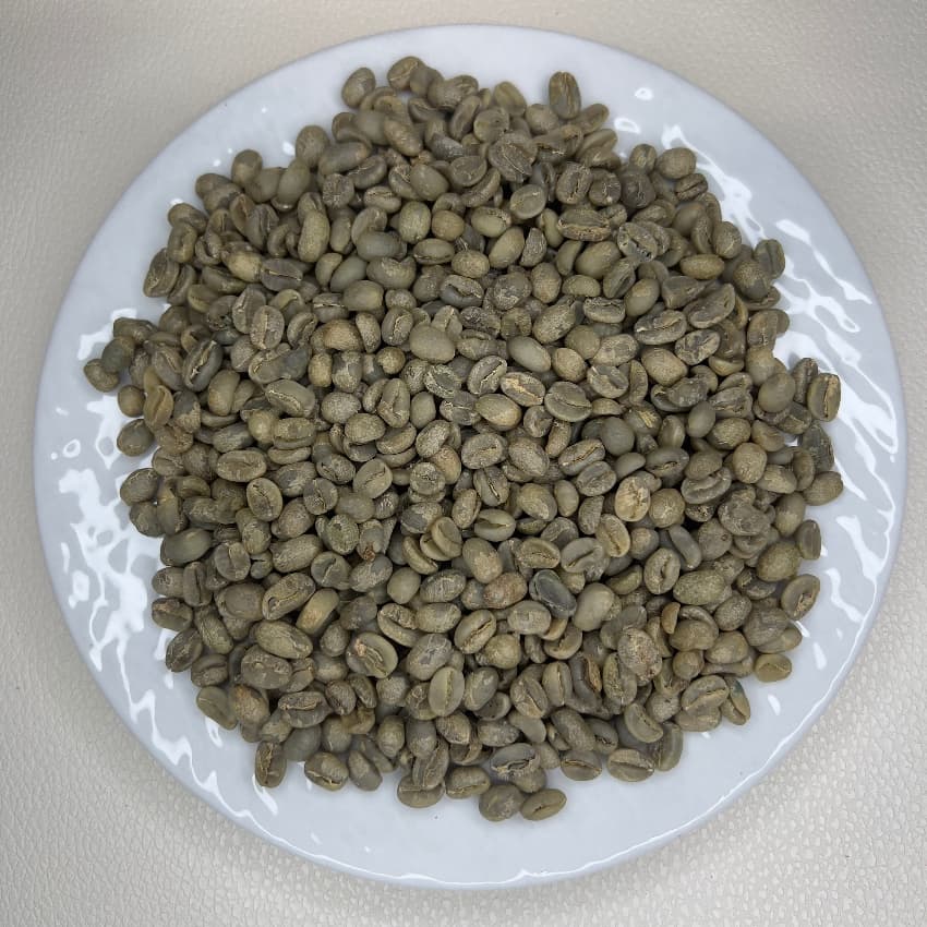 Laos Joy Farm Catimor（ラオス ジョイ農園 カティモール）100g【受注焙煎・自家焙煎コーヒー豆】【甘みと酸味のバランスが良い】