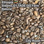 Ethiopia Sidamo G1 TADE GG Farm Natural（エチオピア シダモG1 タデGG農園 ナチュラル）100g【受注焙煎・自家焙煎コーヒー豆】【ラズベリーを感じさせる甘い香り】