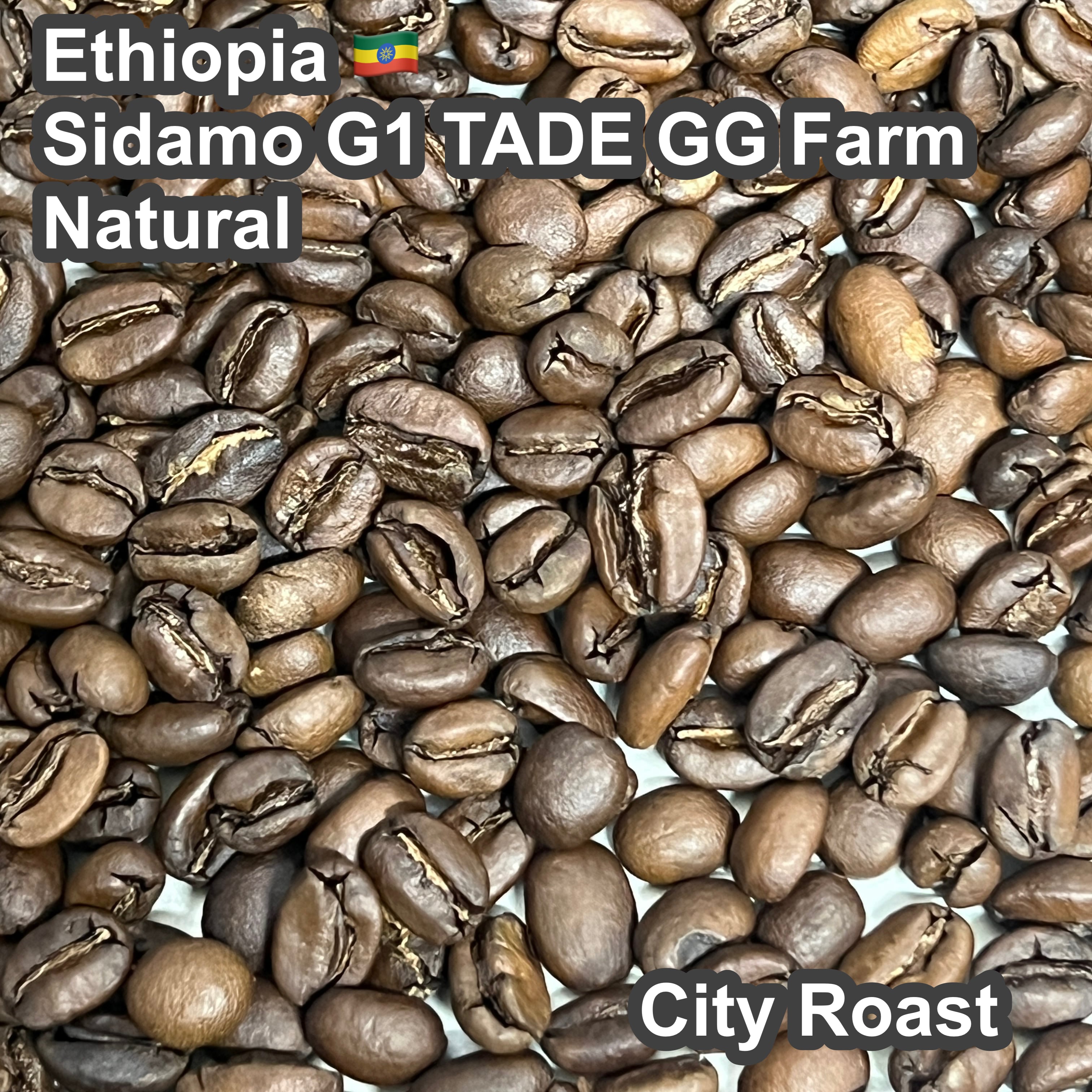 Ethiopia Sidamo G1 TADE GG Farm Natural（エチオピア シダモG1 タデGG農園 ナチュラル）100g【受注焙煎・自家焙煎コーヒー豆】【ラズベリーを感じさせる甘い香り】