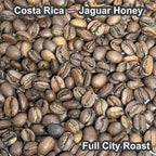 Costa Rica Jaguar Honey（コスタリカ ジャガー ハニー）100g【受注焙煎・自家焙煎コーヒー豆】【ベリーのような爽やかな酸味】