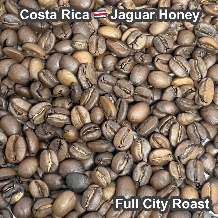 Costa Rica Jaguar Honey（コスタリカ ジャガー ハニー）100g【受注焙煎・自家焙煎コーヒー豆】【ベリーのような爽やかな酸味】