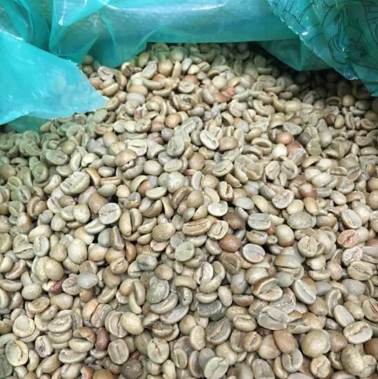 Guatemala Oriente Natural（グアテマラ オリエンテ ナチュラル）100g【受注焙煎・自家焙煎コーヒー豆】【爽やかな酸味と深いコク】