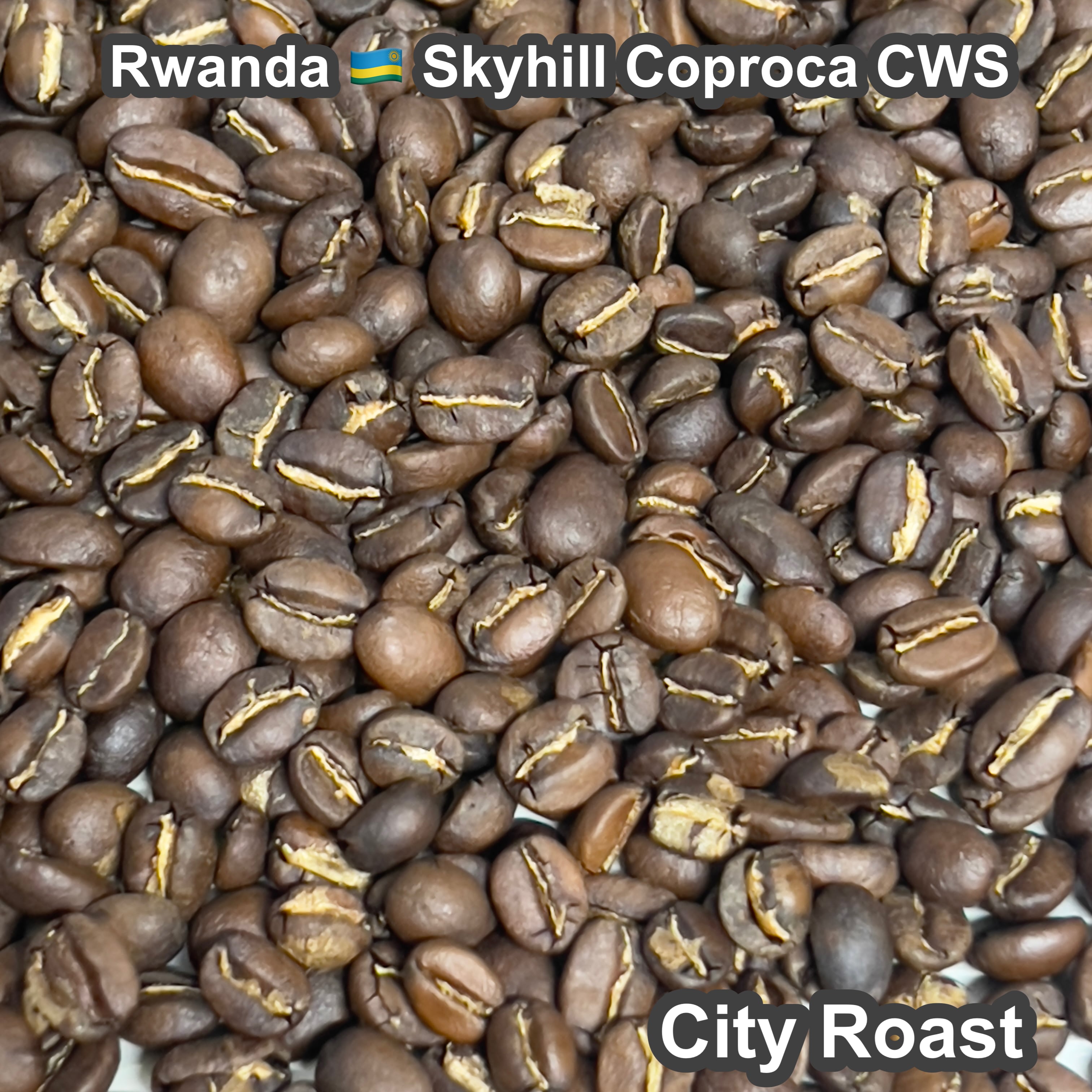 Rwanda Skyhill Coproca CWS（ルワンダ スカイヒル コプロカCWS）100g【受注焙煎・自家焙煎コーヒー豆】【爽やかな酸味とフルーティーな香り】