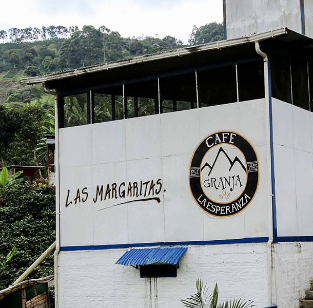 Colombia CGLE Las Margaritas Farm Excelso（コロンビア CGLE ラス・マルガリータス農園 エクセルソ）100g【受注焙煎・自家焙煎コーヒー豆】【苦味と酸味のバランス良い・イエローブルボン】