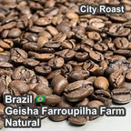 Brazil Geisha Farroupilha Farm Natural（ ブラジル ゲイシャ ファホーピリャ農園 ナチュラル ）100g【受注焙煎・自家焙煎コーヒー豆】【気品ある花香と完熟果実の濃厚な甘みが溶け合う】