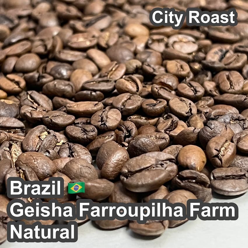 Brazil Geisha Farroupilha Farm Natural（ ブラジル ゲイシャ ファホーピリャ農園 ナチュラル ）100g【受注焙煎・自家焙煎コーヒー豆】【気品ある花香と完熟果実の濃厚な甘みが溶け合う】