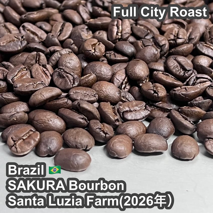 Brazil SAKURA Bourbon Santa Luzia Farm(2026年）（ブラジル さくらブルボン サンタルジア農園）100g【受注焙煎・自家焙煎コーヒー豆】【味や香りのバランスが良い】