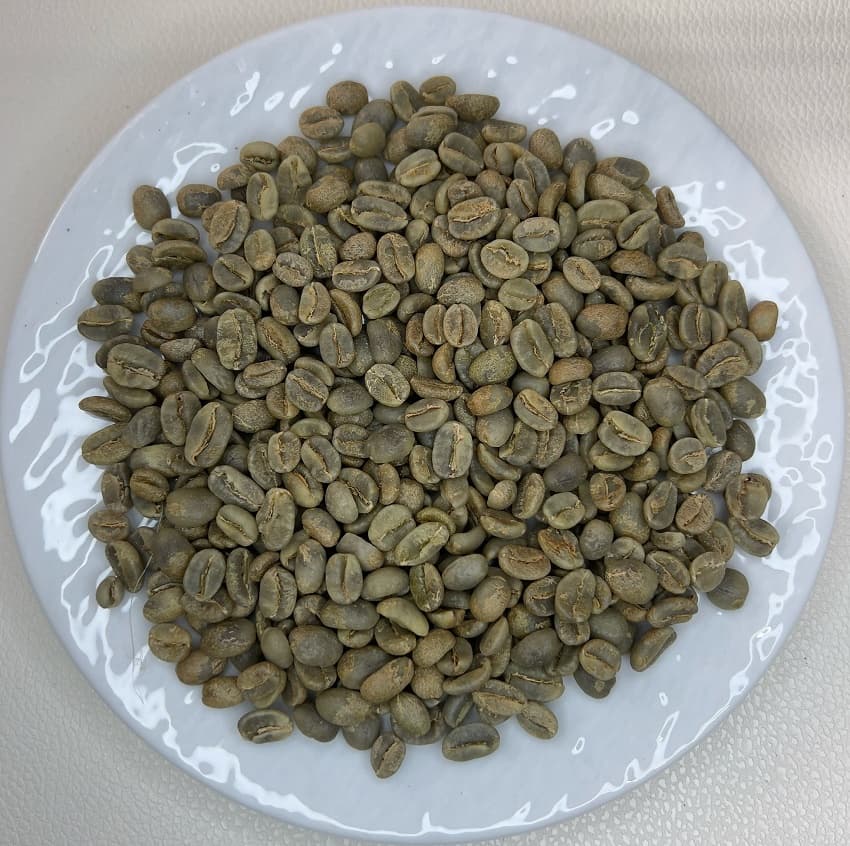 Colombia CGLE Las Margaritas Farm Excelso（コロンビア CGLE ラス・マルガリータス農園 エクセルソ）100g【受注焙煎・自家焙煎コーヒー豆】【苦味と酸味のバランス良い・イエローブルボン】