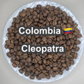 Colombia Cleopatra（コロンビア クレオパトラ）100g【受注焙煎・自家焙煎コーヒー豆】【苦味と酸味のバランス良い】
