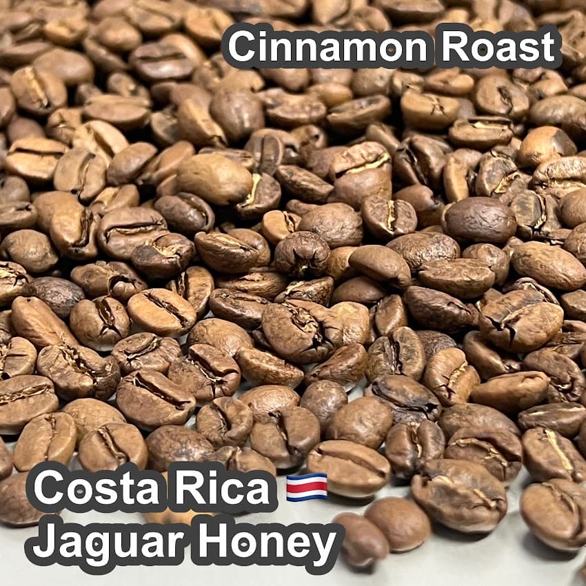Costa Rica Jaguar Honey（コスタリカ ジャガー ハニー）100g【受注焙煎・自家焙煎コーヒー豆】【ベリーのような爽やかな酸味】