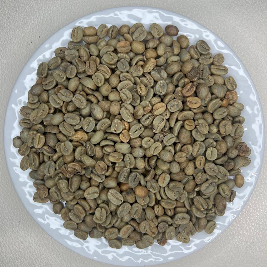 Costa Rica Tarrazú Anaerobic Honey（コスタリカ タラス アナエロビック ハニー）100g 【受注焙煎・自家焙煎コーヒー豆】【発酵の力が引き出す華やかで特別な味わい】