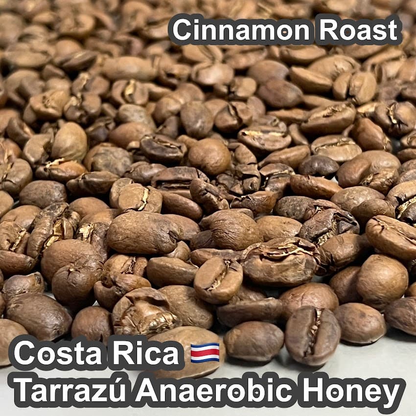 Costa Rica Tarrazú Anaerobic Honey（コスタリカ タラス アナエロビック ハニー）100g 【受注焙煎・自家焙煎コーヒー豆】【発酵の力が引き出す華やかで特別な味わい】