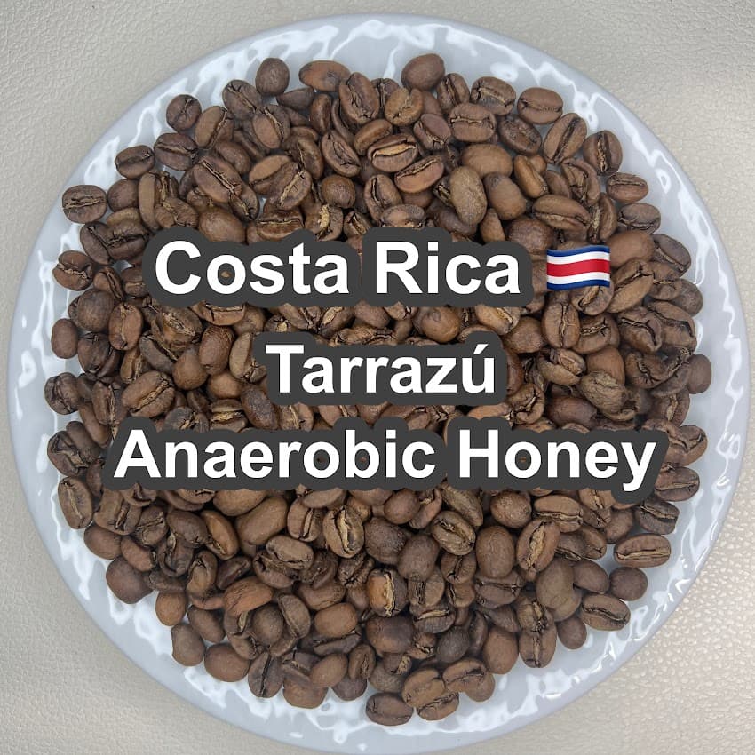 Costa Rica Tarrazú Anaerobic Honey（コスタリカ タラス アナエロビック ハニー）100g 【受注焙煎・自家焙煎コーヒー豆】【発酵の力が引き出す華やかで特別な味わい】