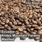 Ecuador Andes Mountain Paramo Washed（エクアドル アンデスマウンテン パラモ ウォッシュド）100g【受注焙煎・自家焙煎コーヒー豆】【酸味と苦味のバランスが完璧】
