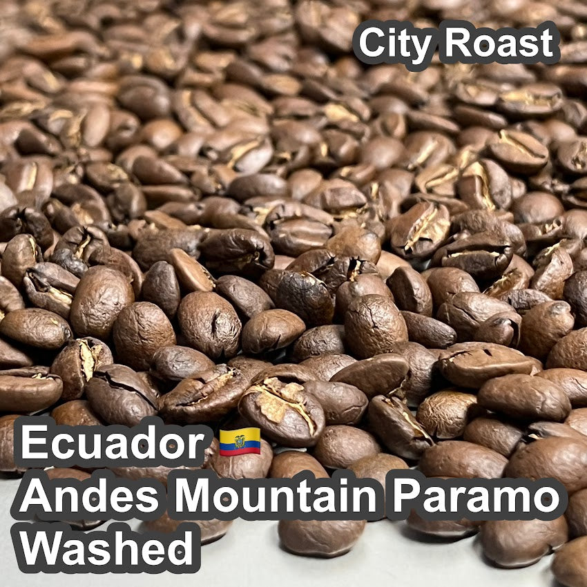 Ecuador Andes Mountain Paramo Washed（エクアドル アンデスマウンテン パラモ ウォッシュド）100g【受注焙煎・自家焙煎コーヒー豆】【酸味と苦味のバランスが完璧】