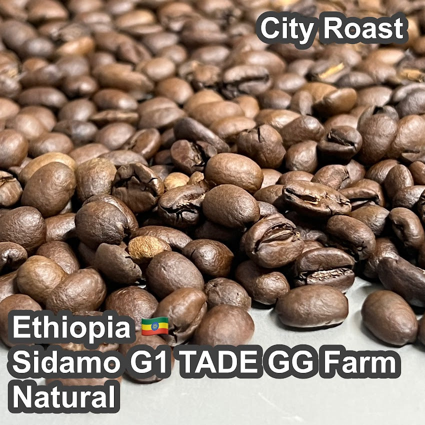 Ethiopia Sidamo G1 TADE GG Farm Natural（エチオピア シダモG1 タデGG農園 ナチュラル）100g【受注焙煎・自家焙煎コーヒー豆】【ラズベリーを感じさせる甘い香り】