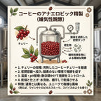Costa Rica Tarrazú Anaerobic Honey（コスタリカ タラス アナエロビック ハニー）100g 【受注焙煎・自家焙煎コーヒー豆】【発酵の力が引き出す華やかで特別な味わい】