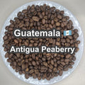 Guatemala Antigua Peaberry（グアテマラ アンティグア ピーベリー）100g【受注焙煎・自家焙煎コーヒー豆】【爽やかな酸味と深いコク】