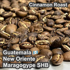 Guatemala New Oriente Maragogype SHB（ グアテマラ ニューオリエンテ マラゴジッペ SHB）100g【受注焙煎・自家焙煎コーヒー豆】【爽やかな酸味と深いコク】
