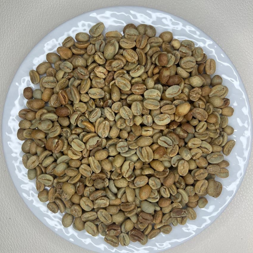Honduras El Jardín Farm Pacas Anaerobic Natural SHG（ホンジュラス エル ハルディン農園 パカス アナエロビック ナチュラル SHG）100g 【受注焙煎・自家焙煎コーヒー豆】【ベリーの酸味に程よい発酵感】