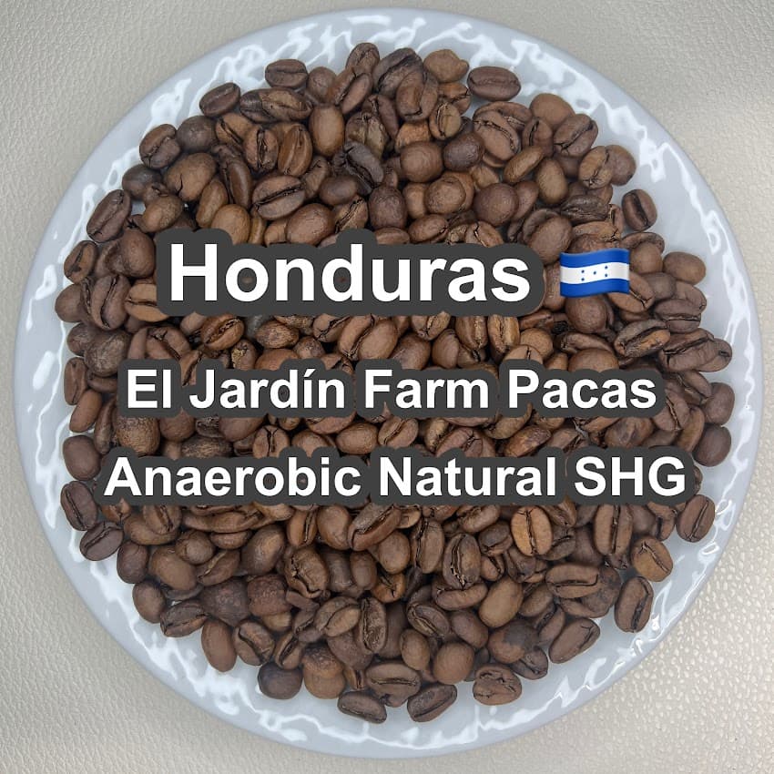 Honduras El Jardín Farm Pacas Anaerobic Natural SHG（ホンジュラス エル ハルディン農園 パカス アナエロビック ナチュラル SHG）100g 【受注焙煎・自家焙煎コーヒー豆】【ベリーの酸味に程よい発酵感】