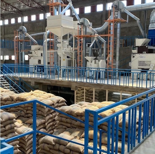 Ethiopia Guji Foge Washed G1（エチオピア グジ フォゲ ウォッシュ G1）100g 【受注焙煎・自家焙煎コーヒー豆】【オールマイティーに楽しめる味わい】